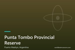 Punta Tombo Provincial Reserve - World Best Museums cover